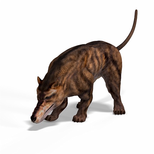 Andrewsarchus 04 A_0001.jpg - Dangerous dinosaur Andrewsarchus With Clipping Path over white